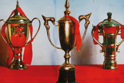 1985年新宝GG先后获得了年度局级一等节能先进企业、山东省设备治理优良单元、山东省机械工业系统节能先进单元等殊荣。