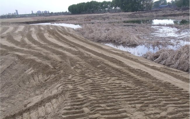 83205af760e341fa8fb08312829bde4d