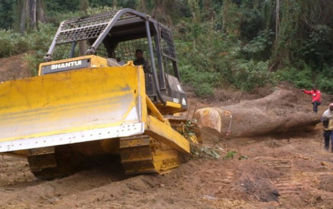 首页- 新宝GG集团创造事业平台